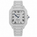 VVS1 Moissanite Cartier Watch
